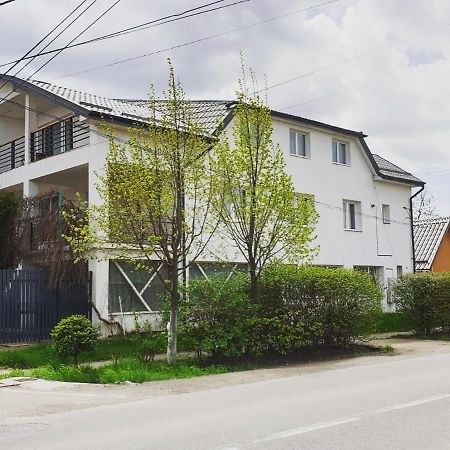 Casa Sancrai Appartement Târgu-Mureş Buitenkant foto